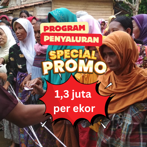 Program Salur 1,3 juta